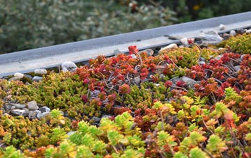 the cost of Bryn Penarth green roof installation