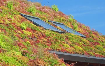 Bryn Penarth living roof systems