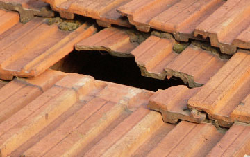 roof repair Bryn Penarth, Powys
